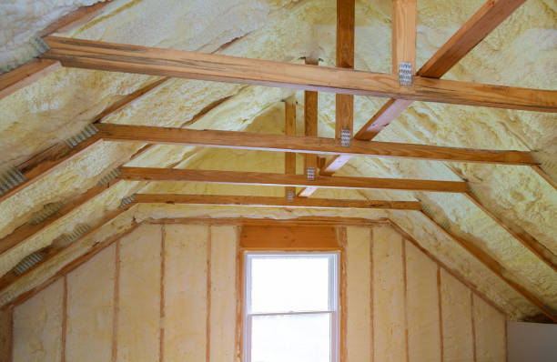 Best Local Insulation Services  in USA